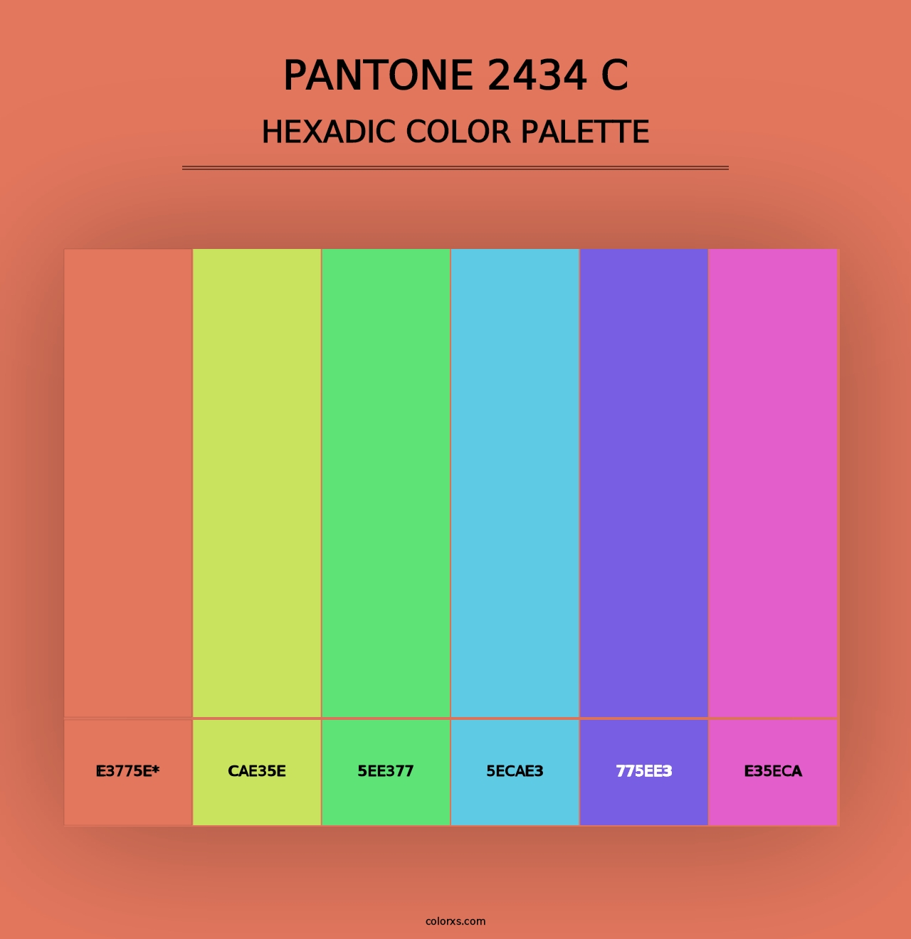 PANTONE 2434 C - Hexadic Color Palette