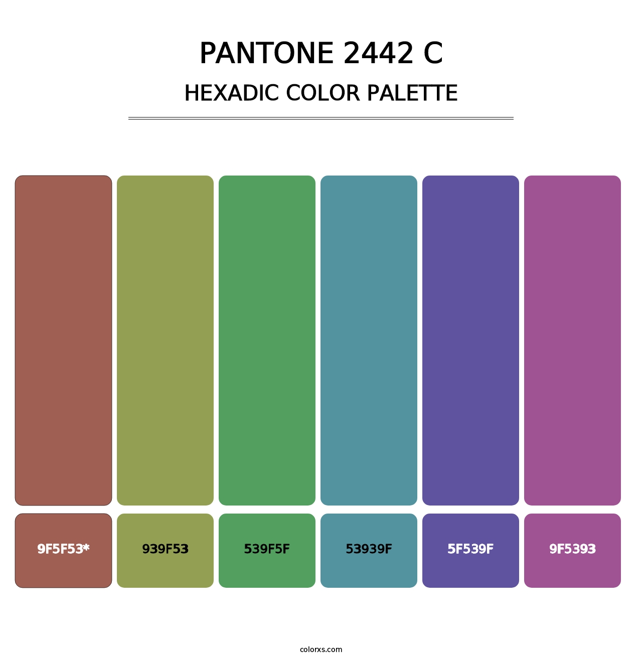 PANTONE 2442 C - Hexadic Color Palette