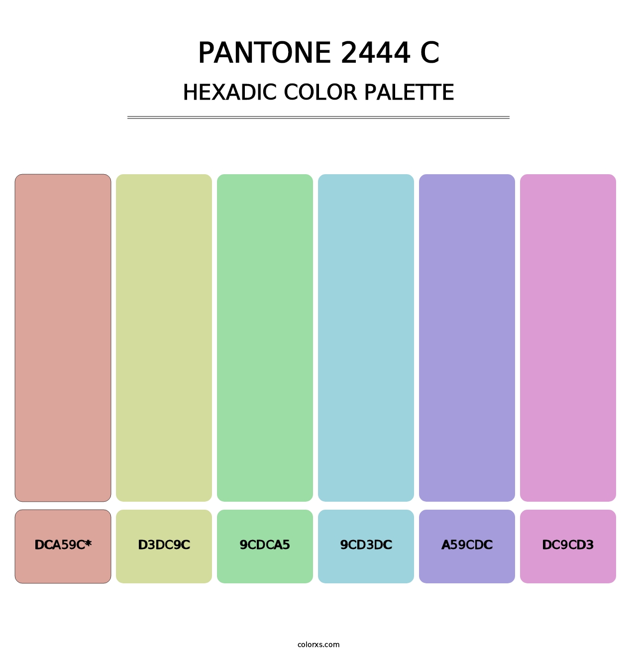 PANTONE 2444 C - Hexadic Color Palette