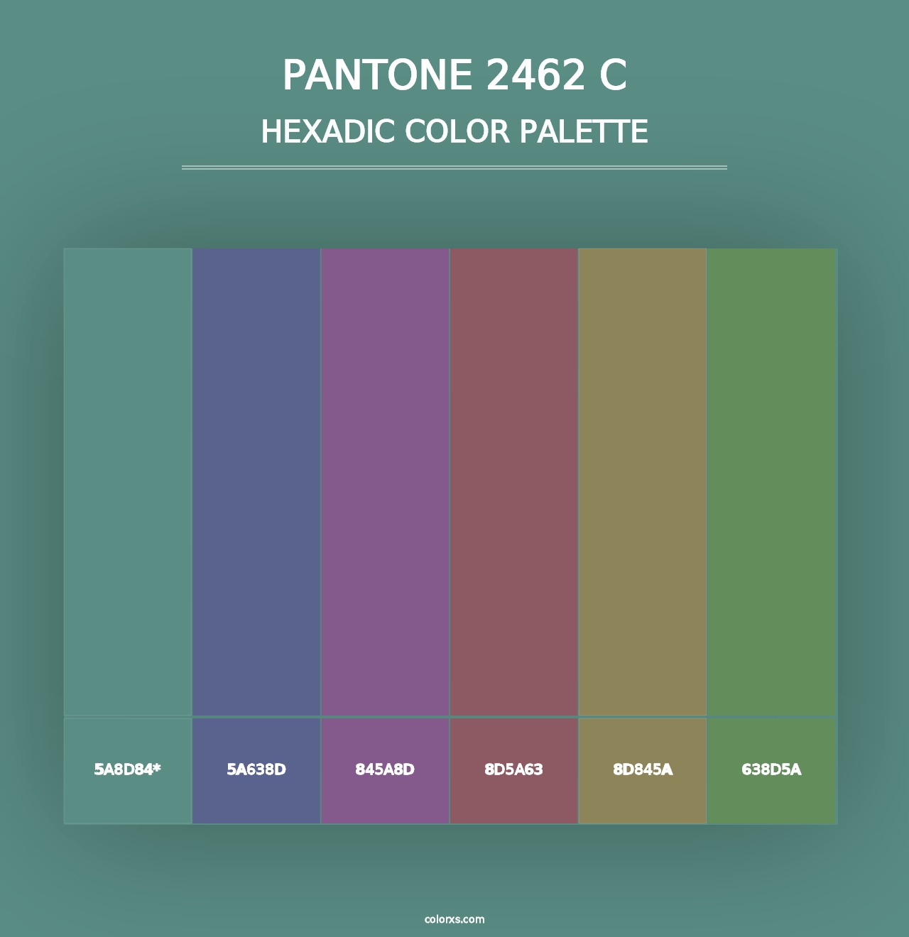 PANTONE 2462 C - Hexadic Color Palette