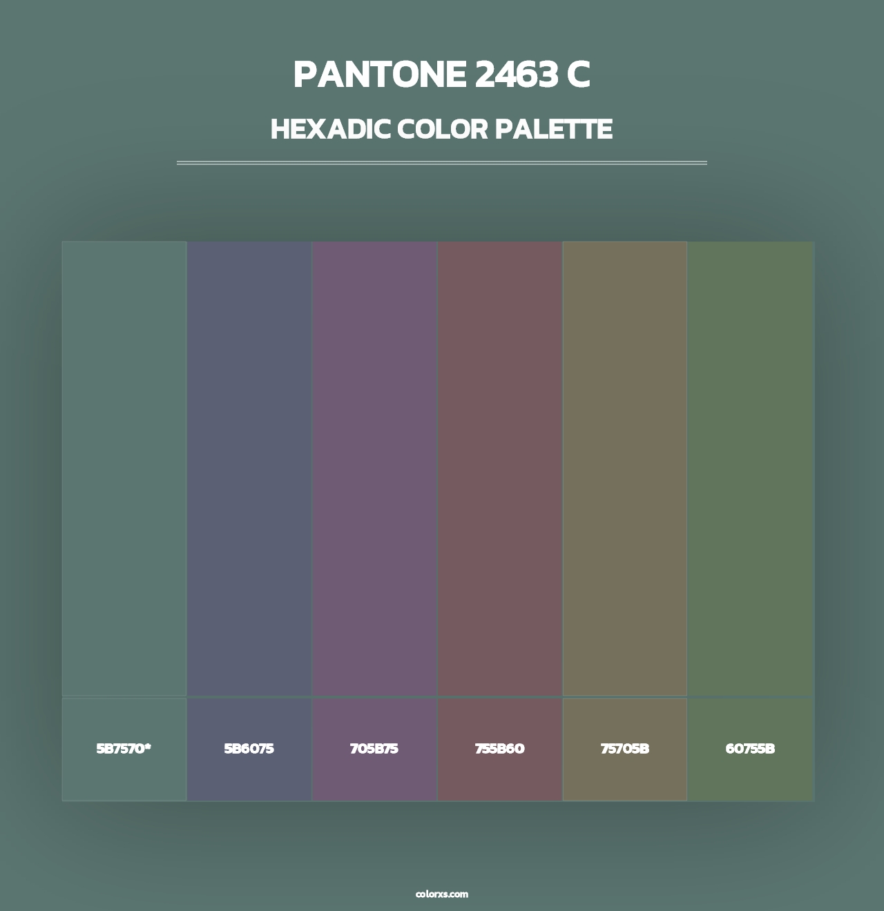 PANTONE 2463 C - Hexadic Color Palette