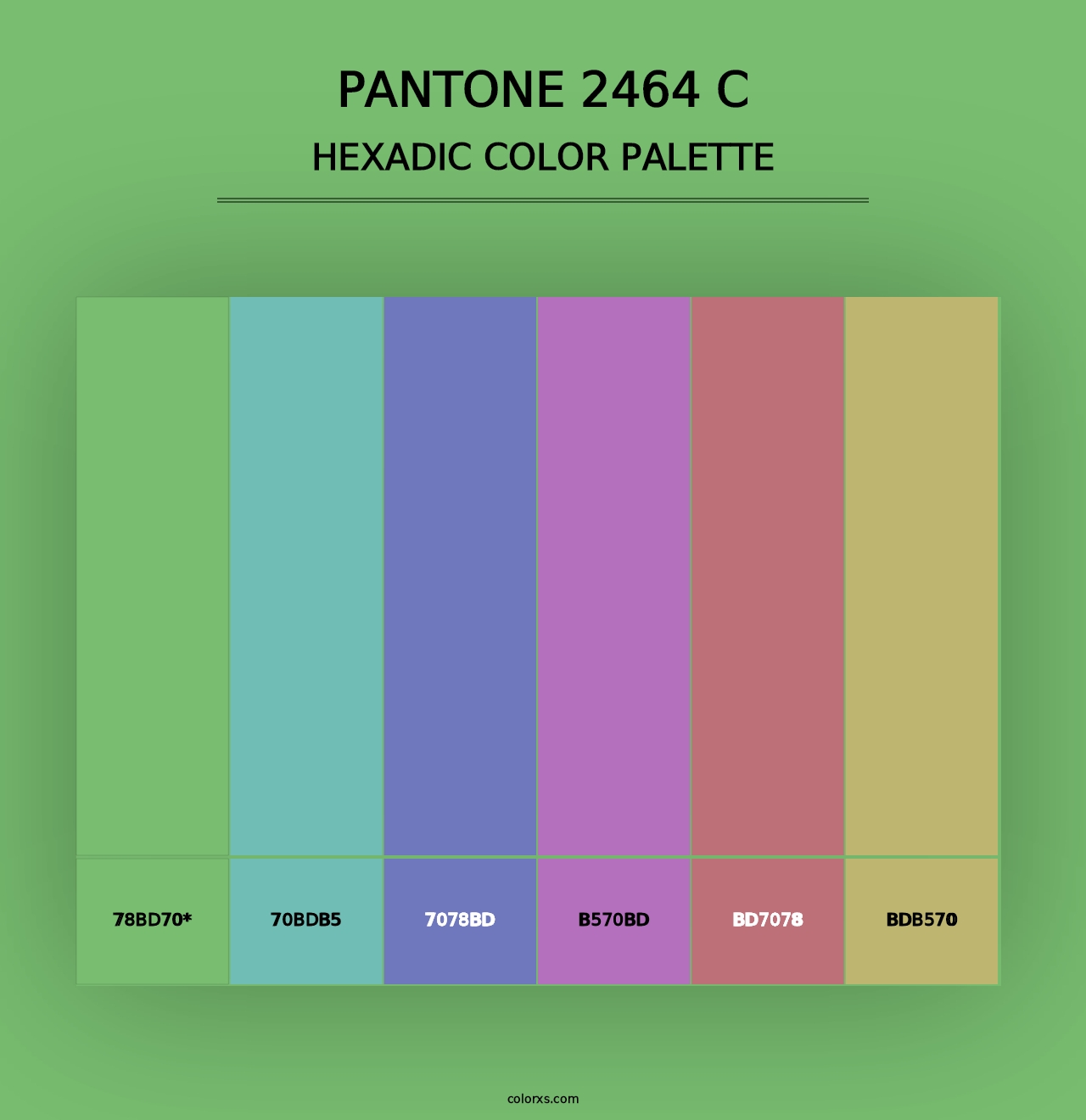 PANTONE 2464 C - Hexadic Color Palette