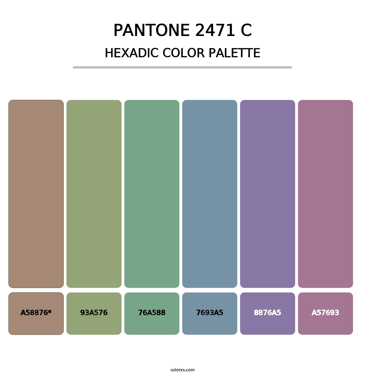PANTONE 2471 C - Hexadic Color Palette
