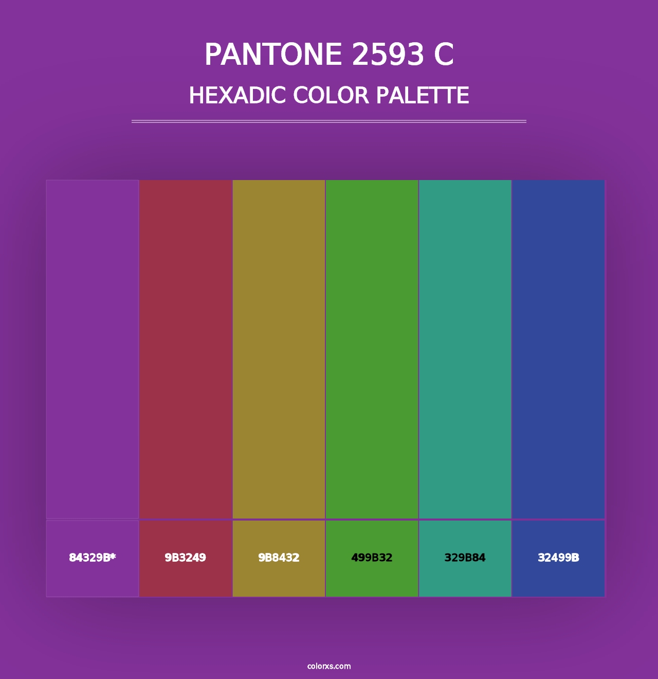 PANTONE 2593 C - Hexadic Color Palette