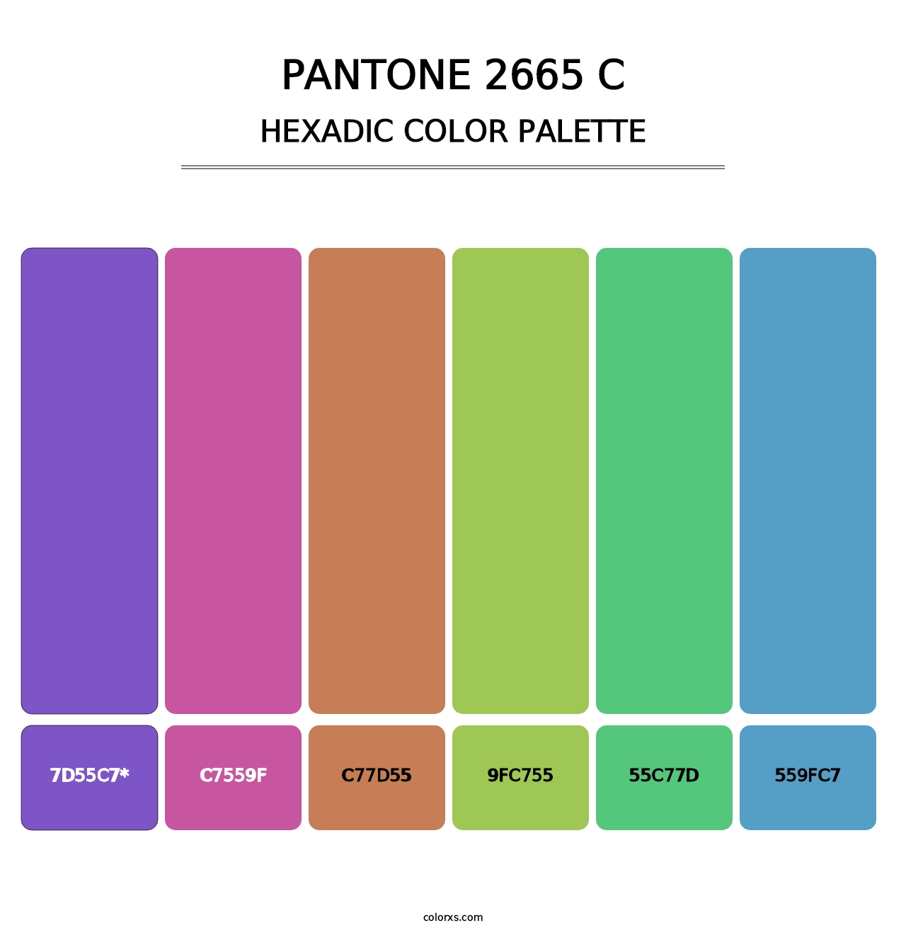 PANTONE 2665 C - Hexadic Color Palette