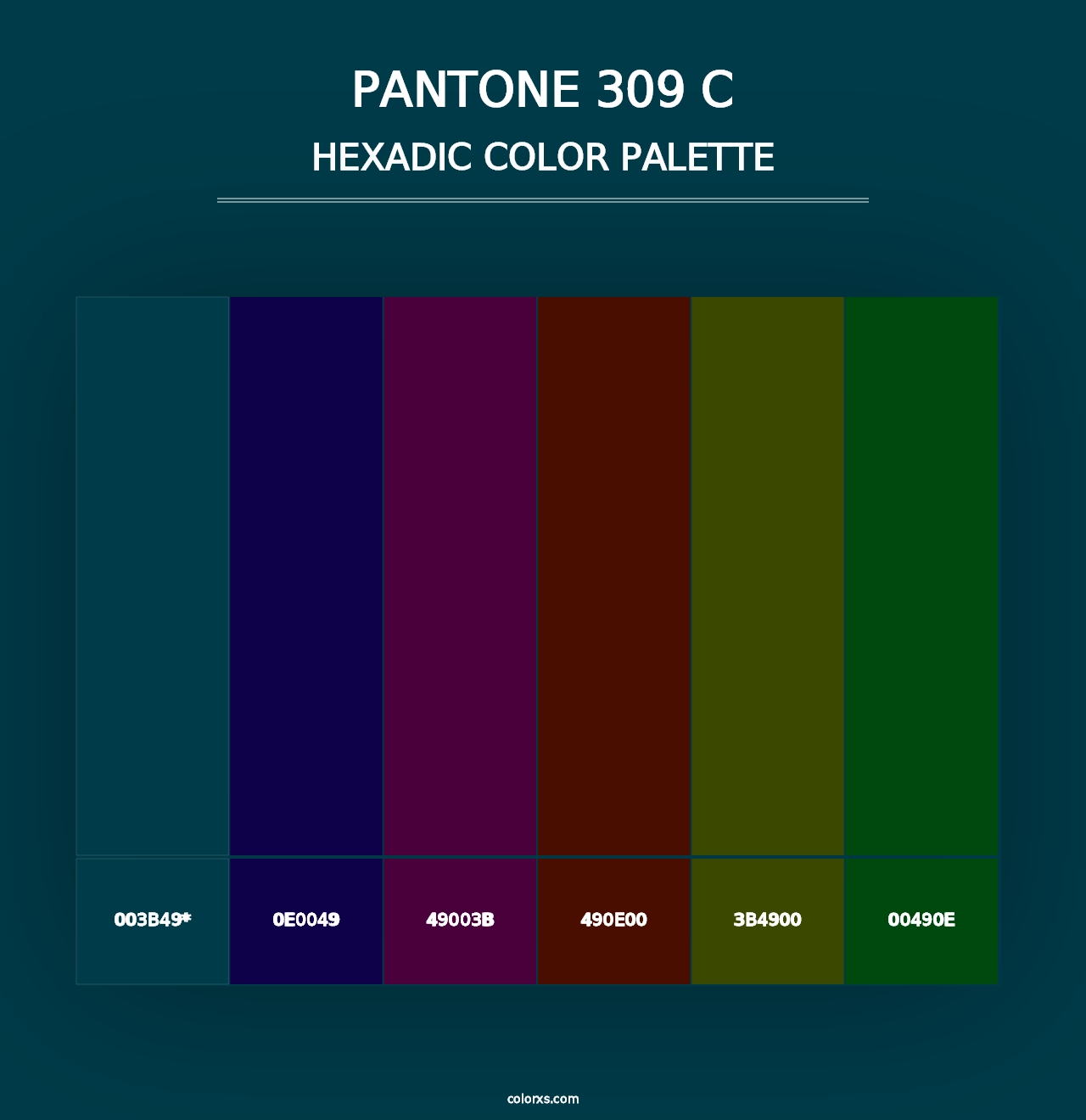 PANTONE 309 C - Hexadic Color Palette