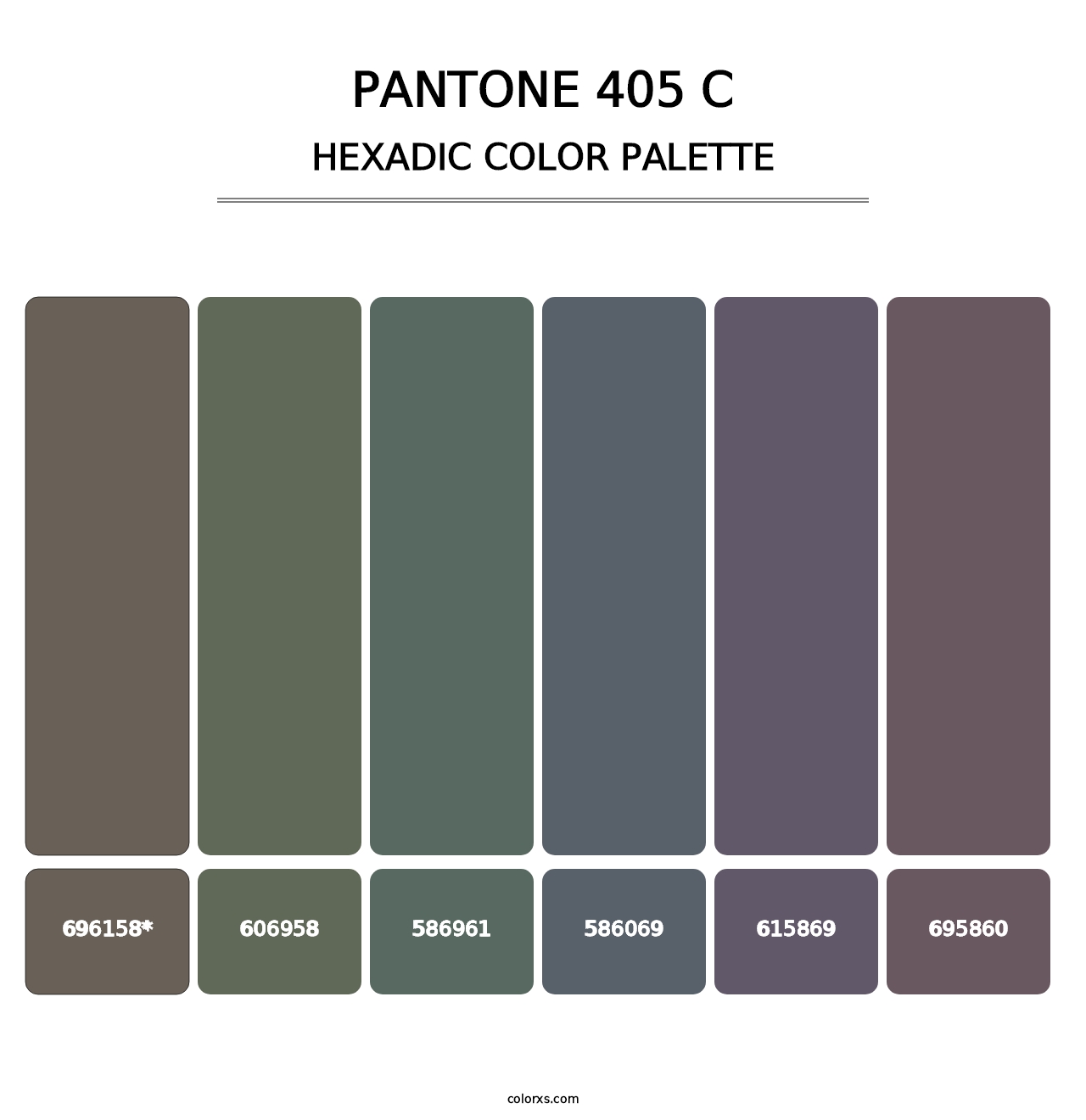 PANTONE 405 C - Hexadic Color Palette