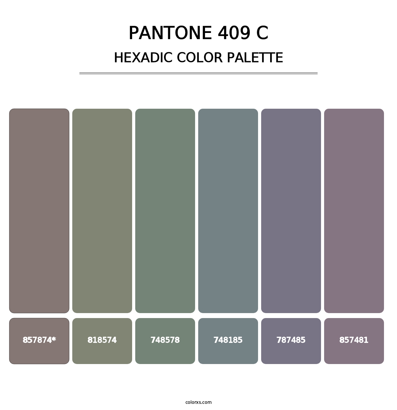 PANTONE 409 C - Hexadic Color Palette