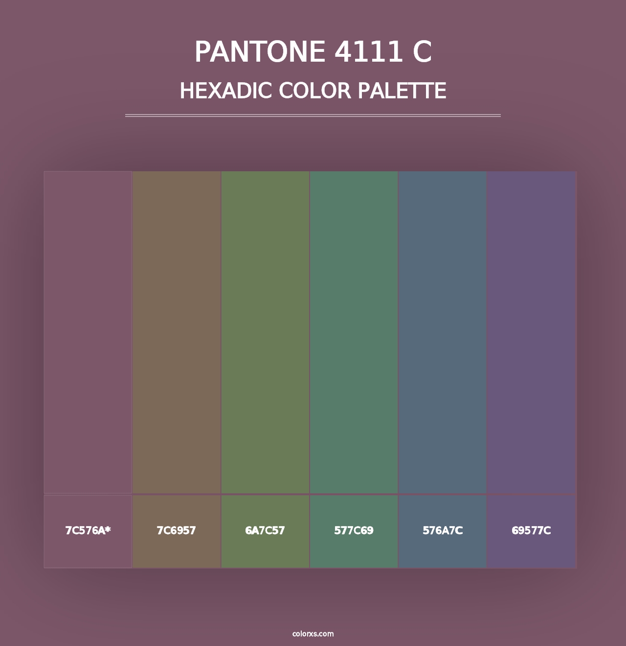 PANTONE 4111 C - Hexadic Color Palette