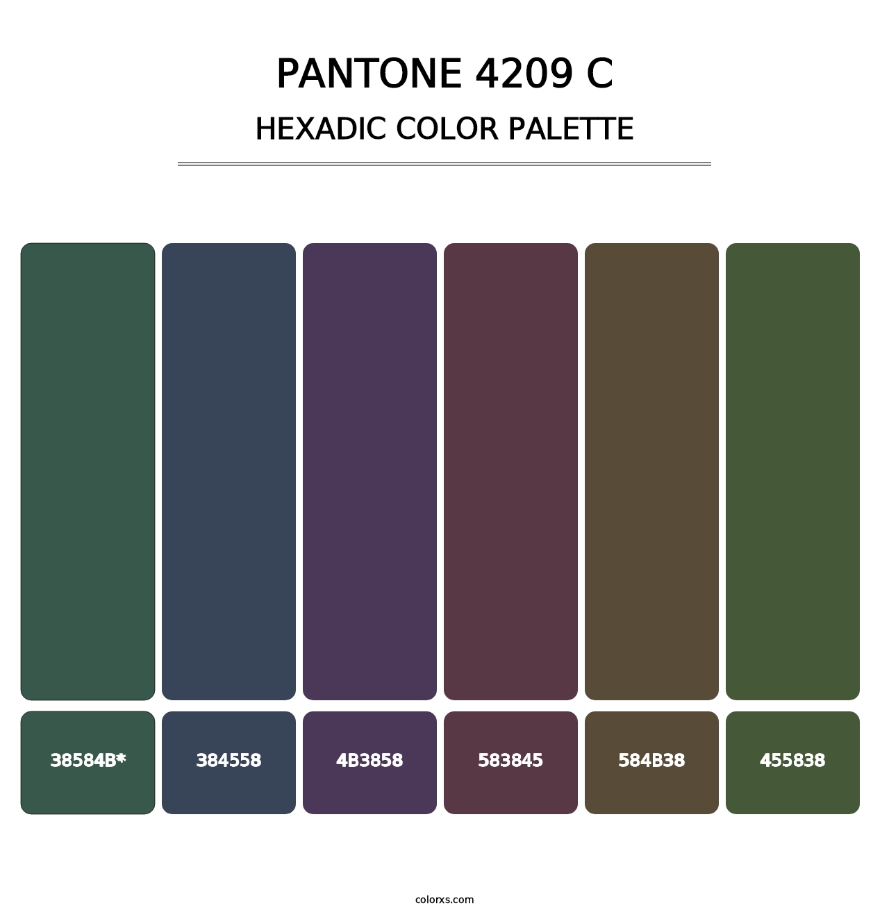 PANTONE 4209 C - Hexadic Color Palette