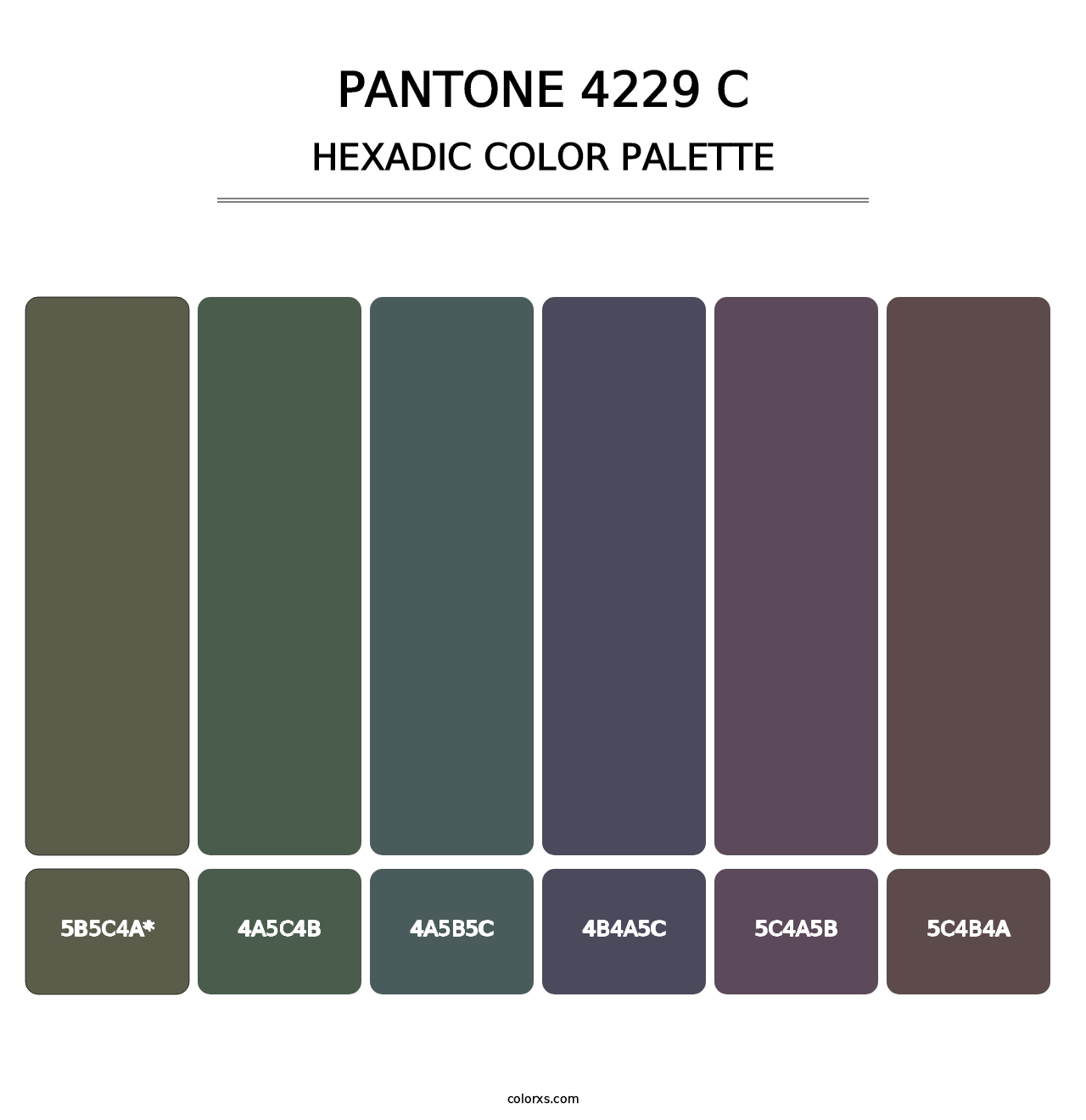 PANTONE 4229 C - Hexadic Color Palette