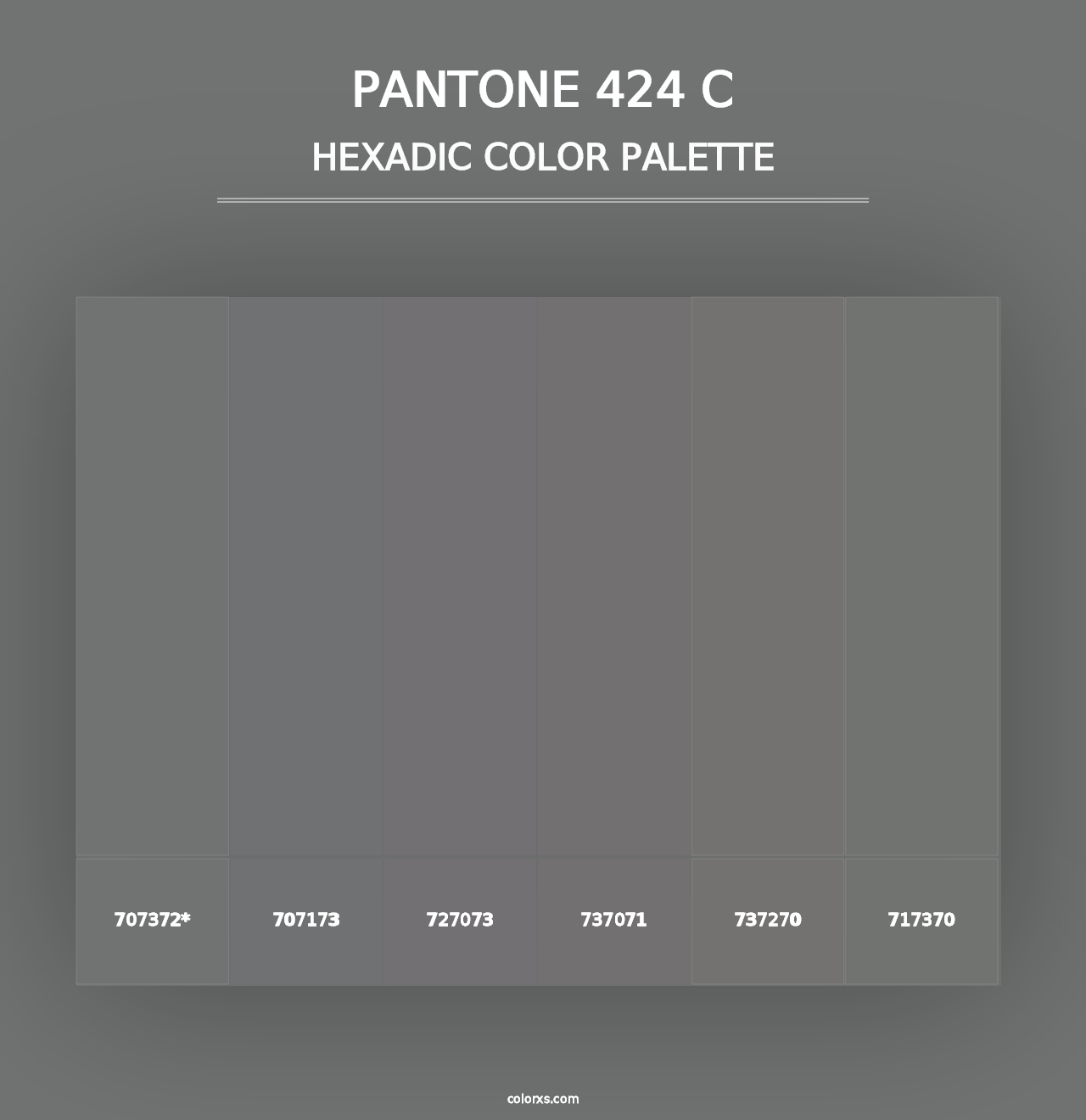 PANTONE 424 C - Hexadic Color Palette