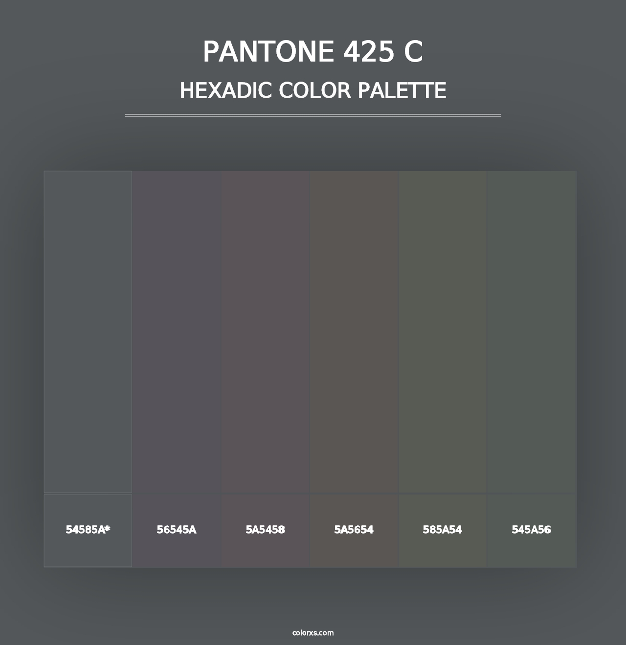 PANTONE 425 C - Hexadic Color Palette