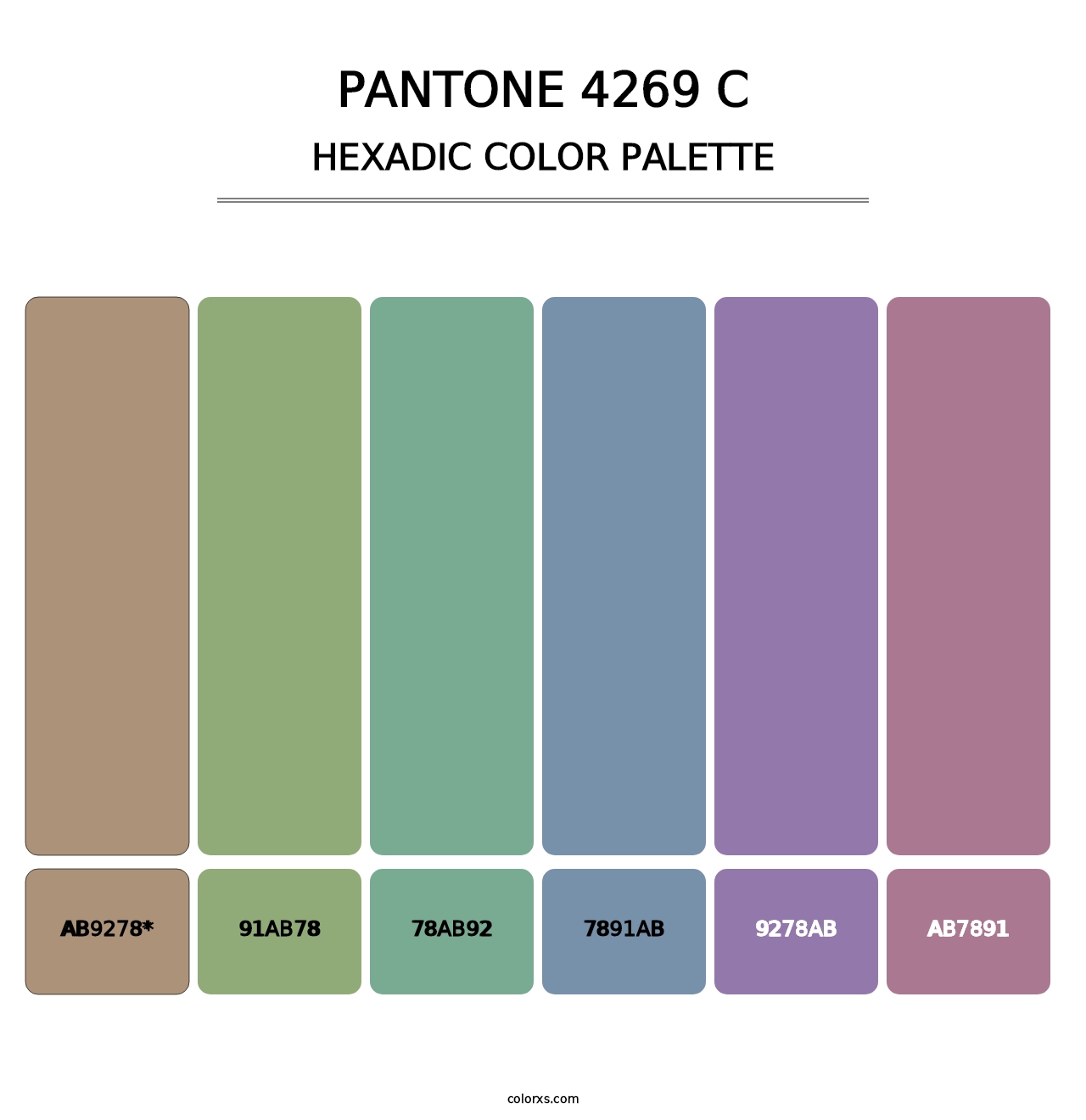 PANTONE 4269 C - Hexadic Color Palette