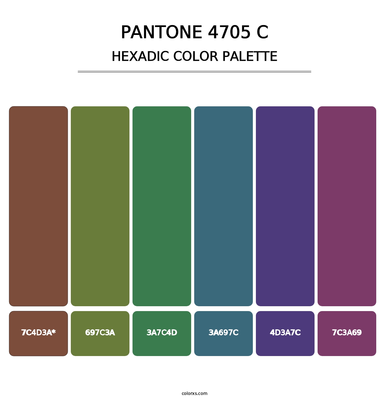 PANTONE 4705 C - Hexadic Color Palette