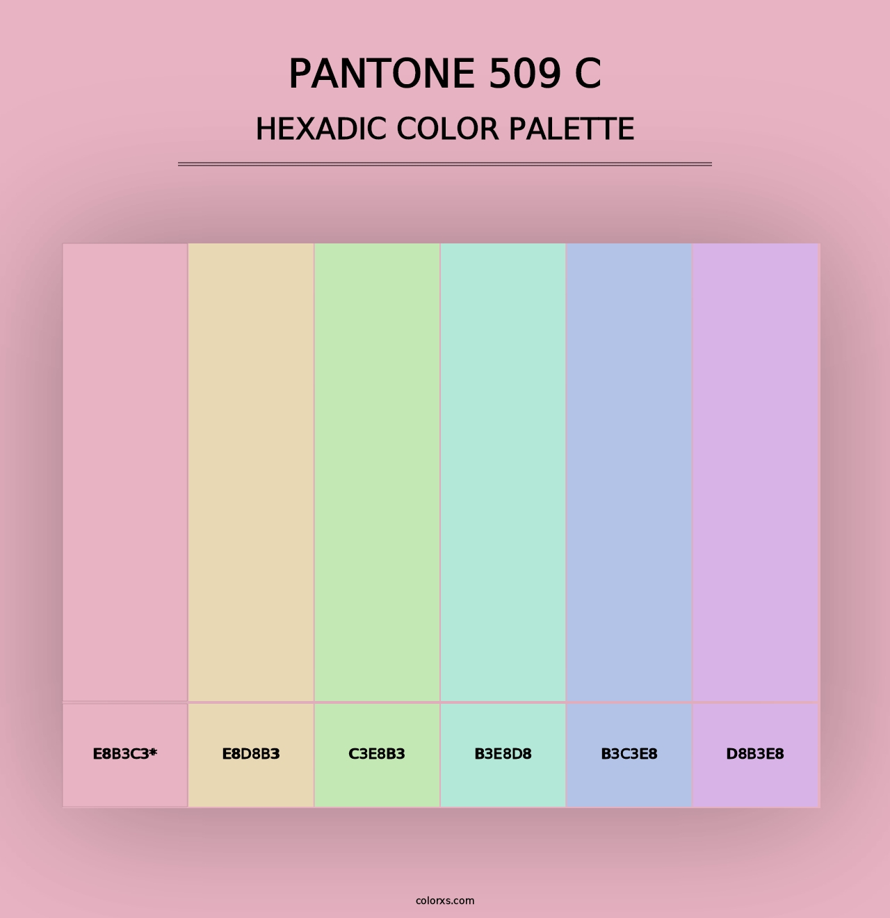 PANTONE 509 C - Hexadic Color Palette