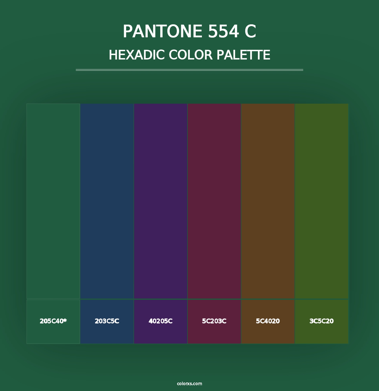 PANTONE 554 C - Hexadic Color Palette