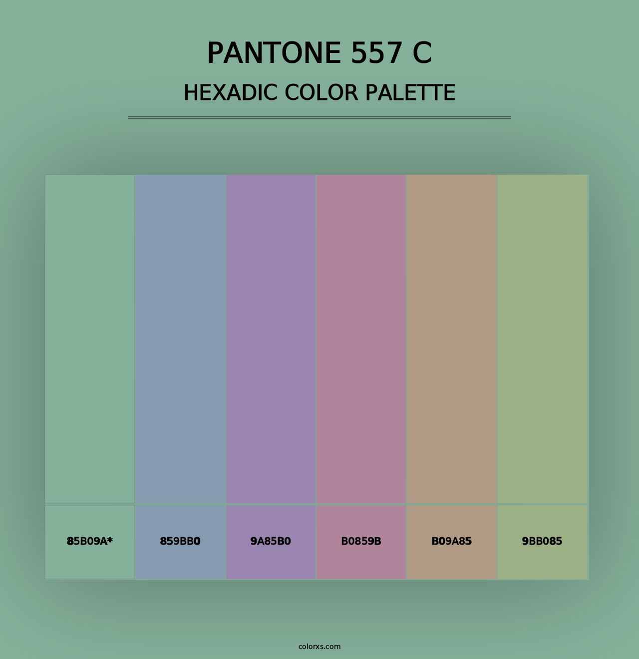 PANTONE 557 C - Hexadic Color Palette