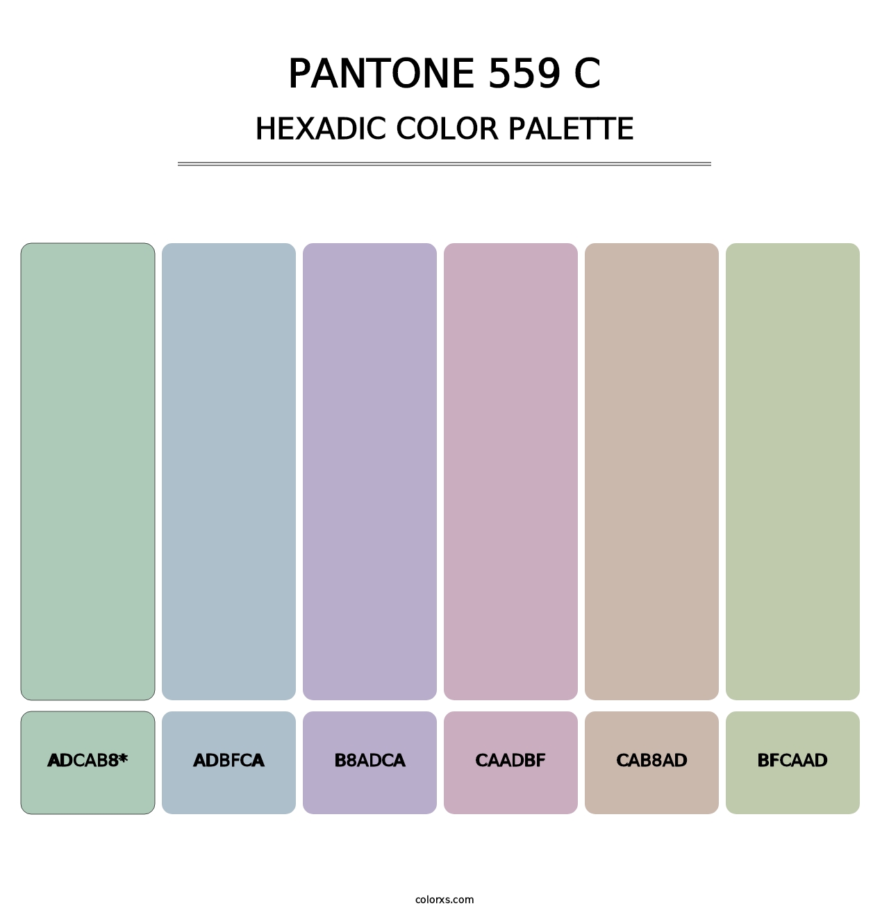 PANTONE 559 C - Hexadic Color Palette