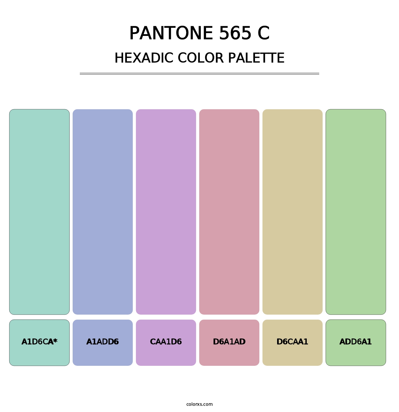 PANTONE 565 C - Hexadic Color Palette