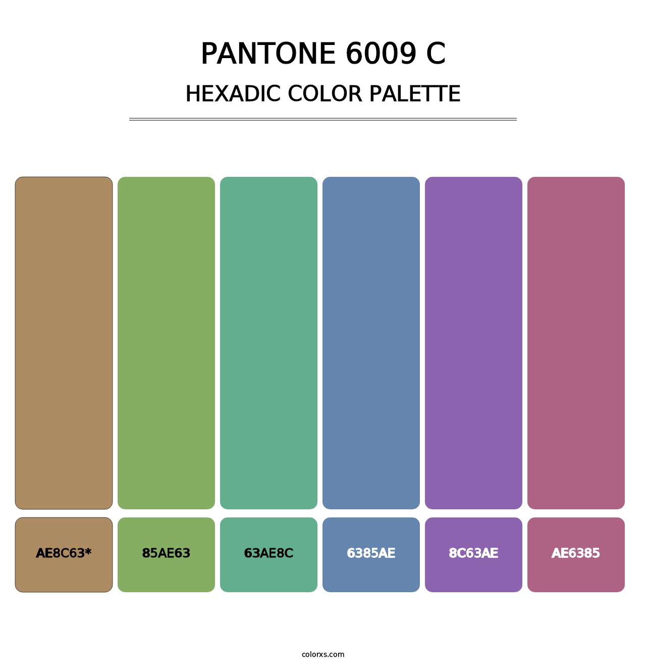 PANTONE 6009 C - Hexadic Color Palette