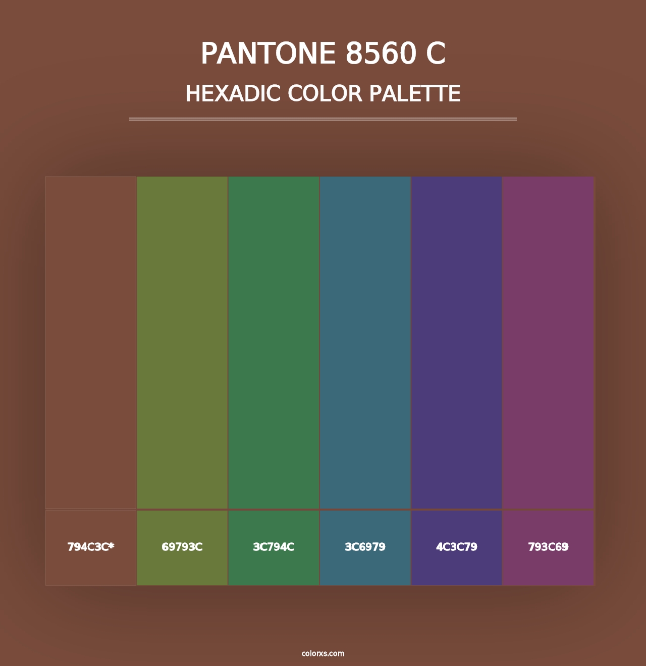 PANTONE 8560 C - Hexadic Color Palette