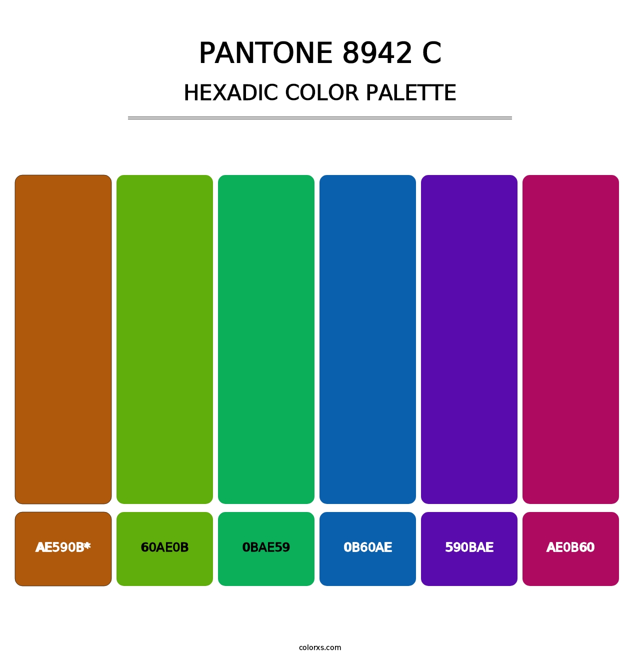 PANTONE 8942 C - Hexadic Color Palette