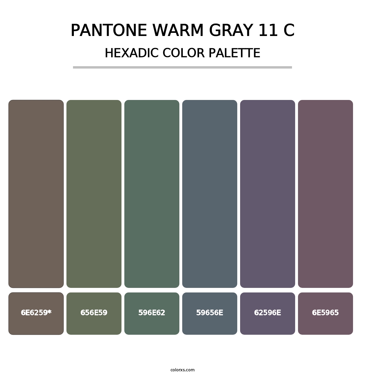 PANTONE Warm Gray 11 C - Hexadic Color Palette