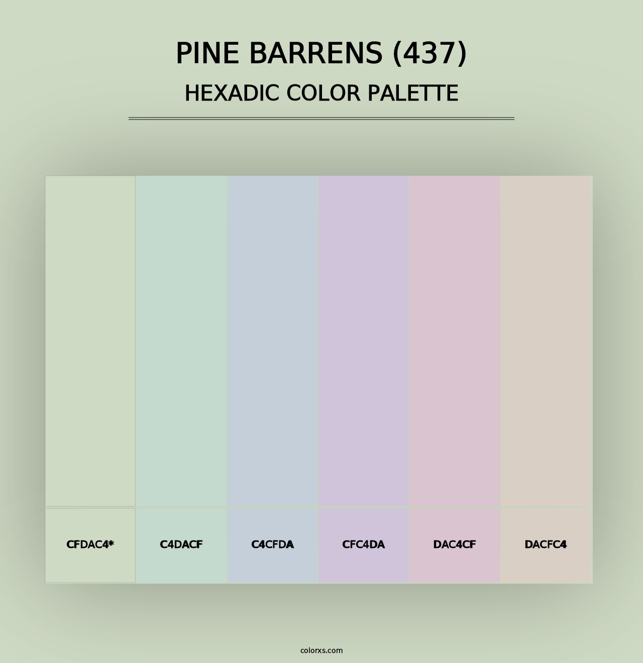 Pine Barrens (437) - Hexadic Color Palette