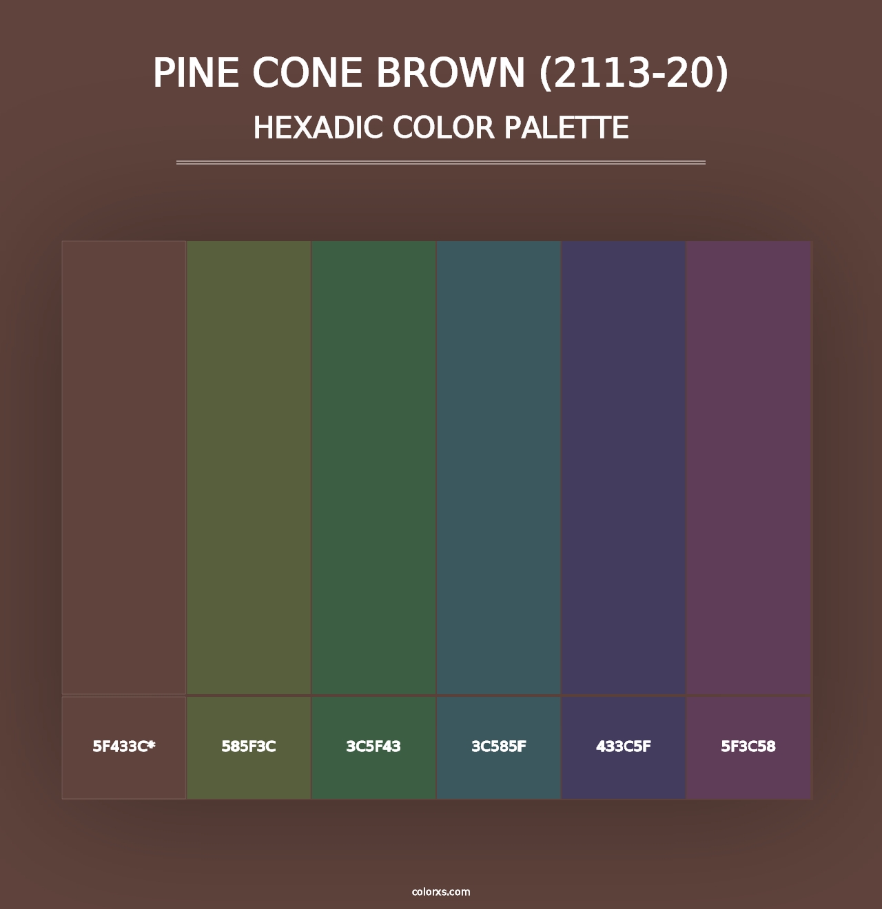 Pine Cone Brown (2113-20) - Hexadic Color Palette