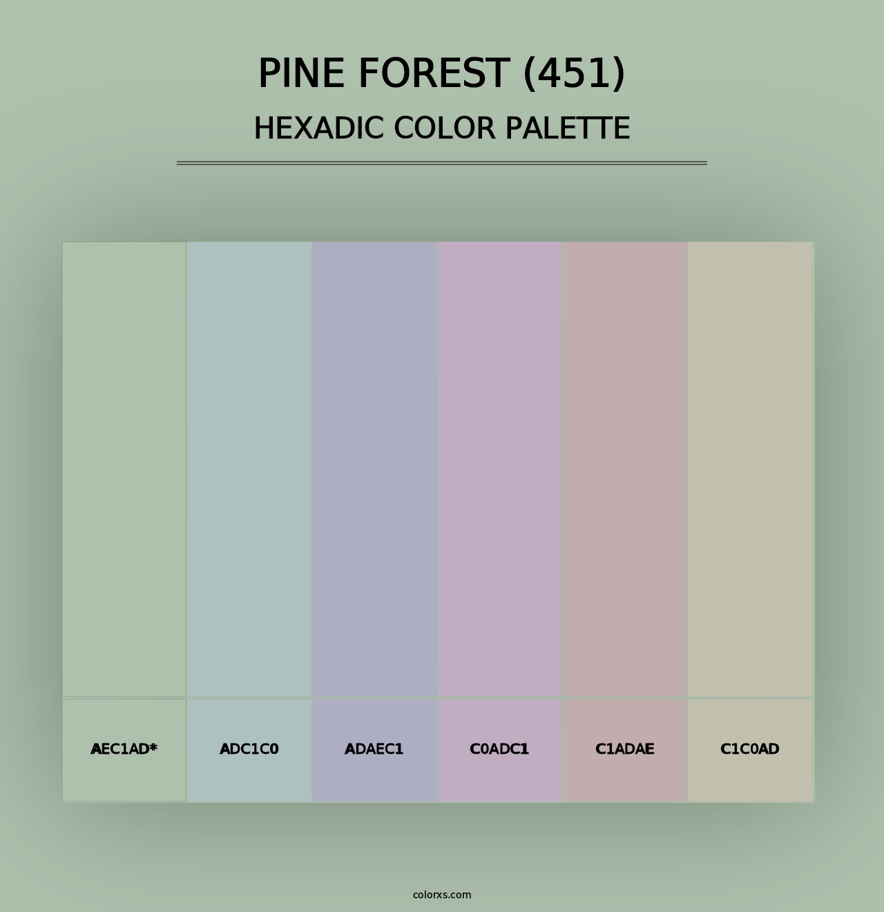 Pine Forest (451) - Hexadic Color Palette