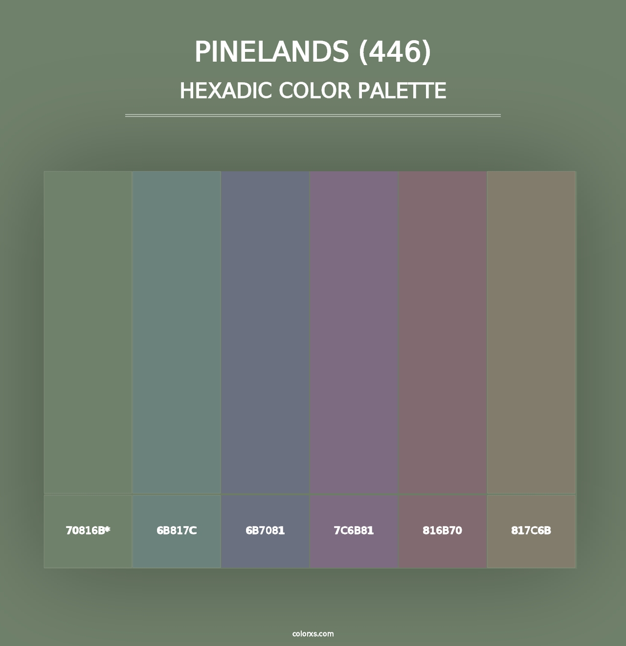 Pinelands (446) - Hexadic Color Palette