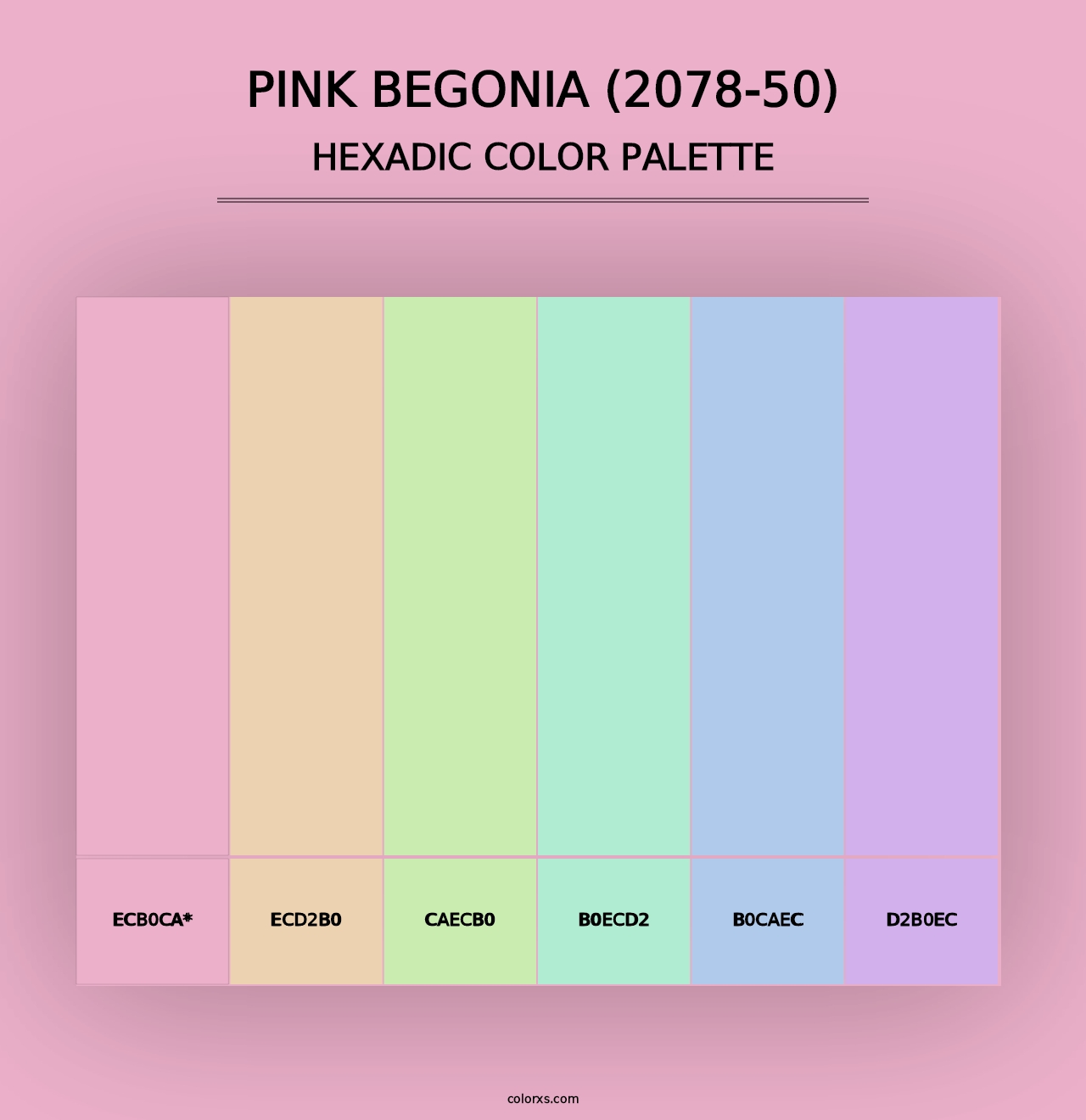 Pink Begonia (2078-50) - Hexadic Color Palette