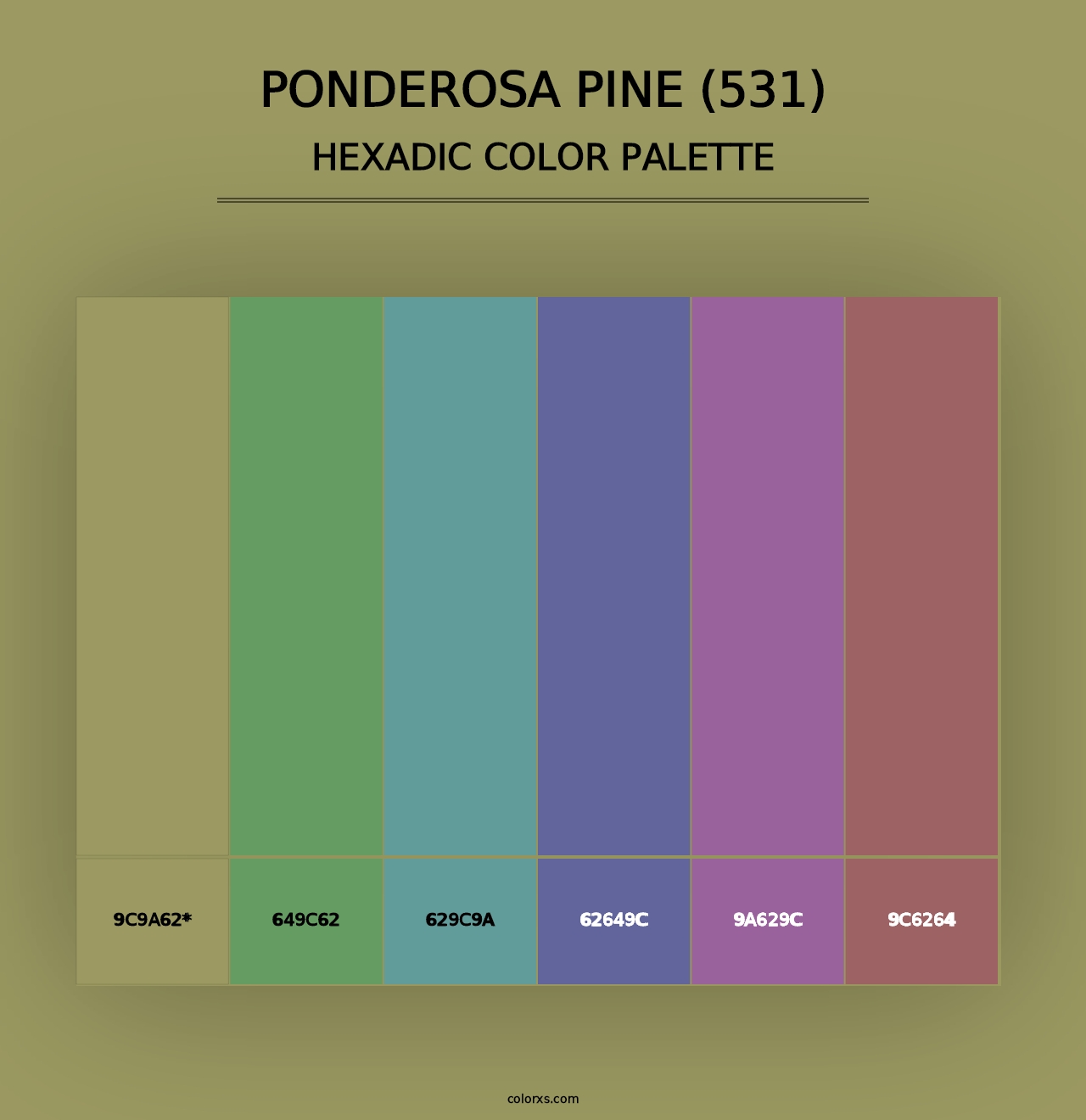 Ponderosa Pine (531) - Hexadic Color Palette