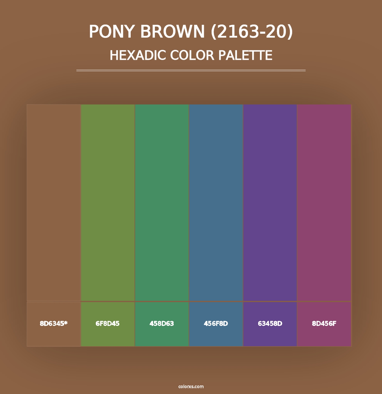 Pony Brown (2163-20) - Hexadic Color Palette