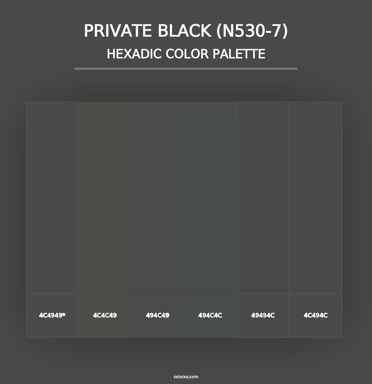 Private Black (N530-7) - Hexadic Color Palette