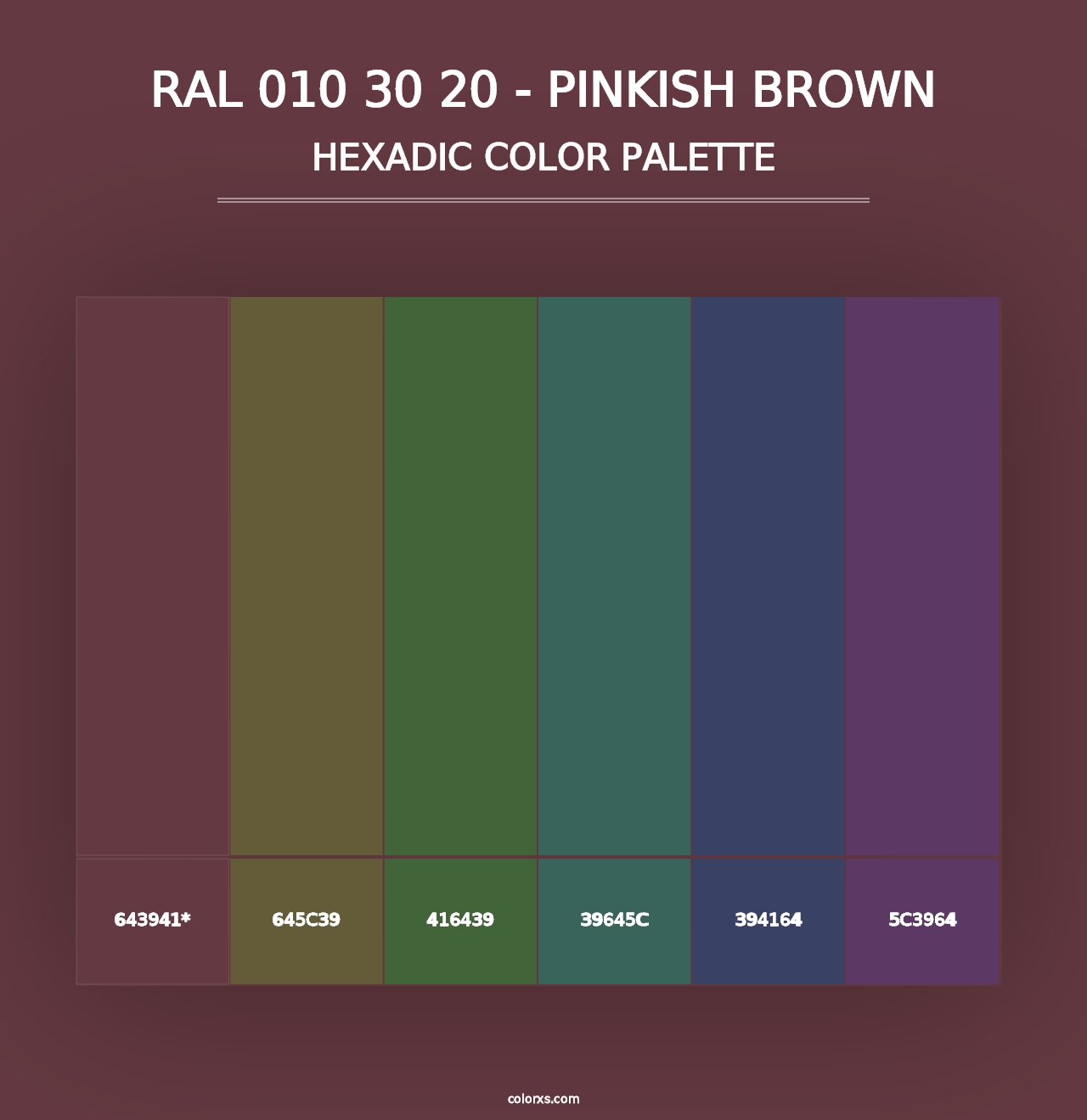 RAL 010 30 20 - Pinkish Brown - Hexadic Color Palette