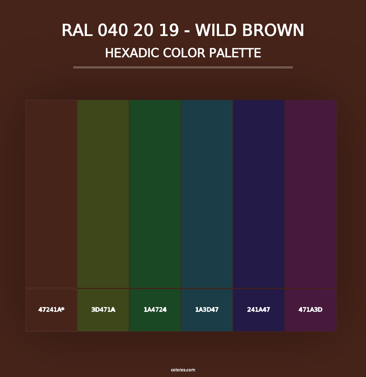 RAL 040 20 19 - Wild Brown - Hexadic Color Palette