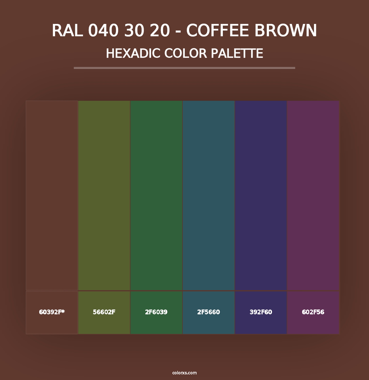 RAL 040 30 20 - Coffee Brown - Hexadic Color Palette