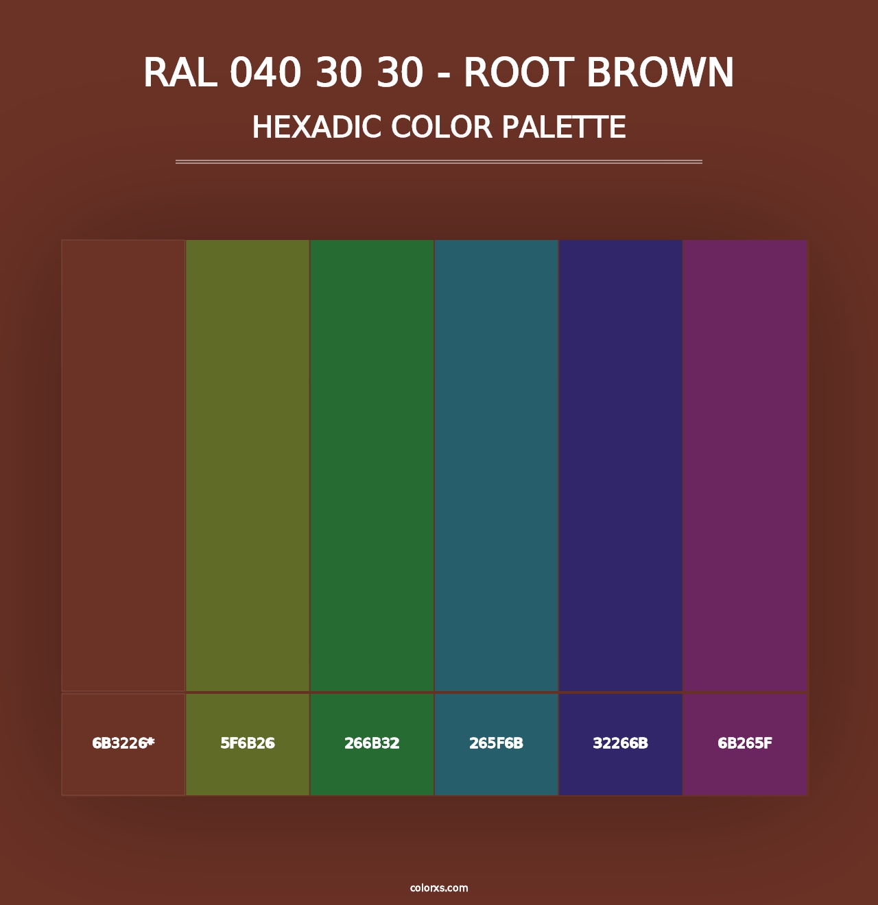 RAL 040 30 30 - Root Brown - Hexadic Color Palette