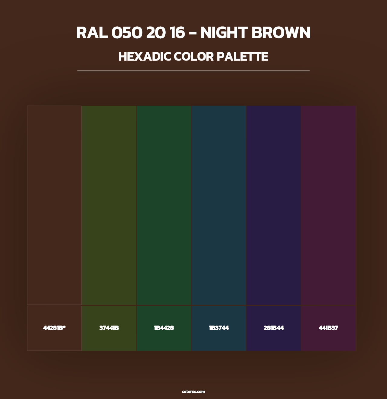 RAL 050 20 16 - Night Brown - Hexadic Color Palette