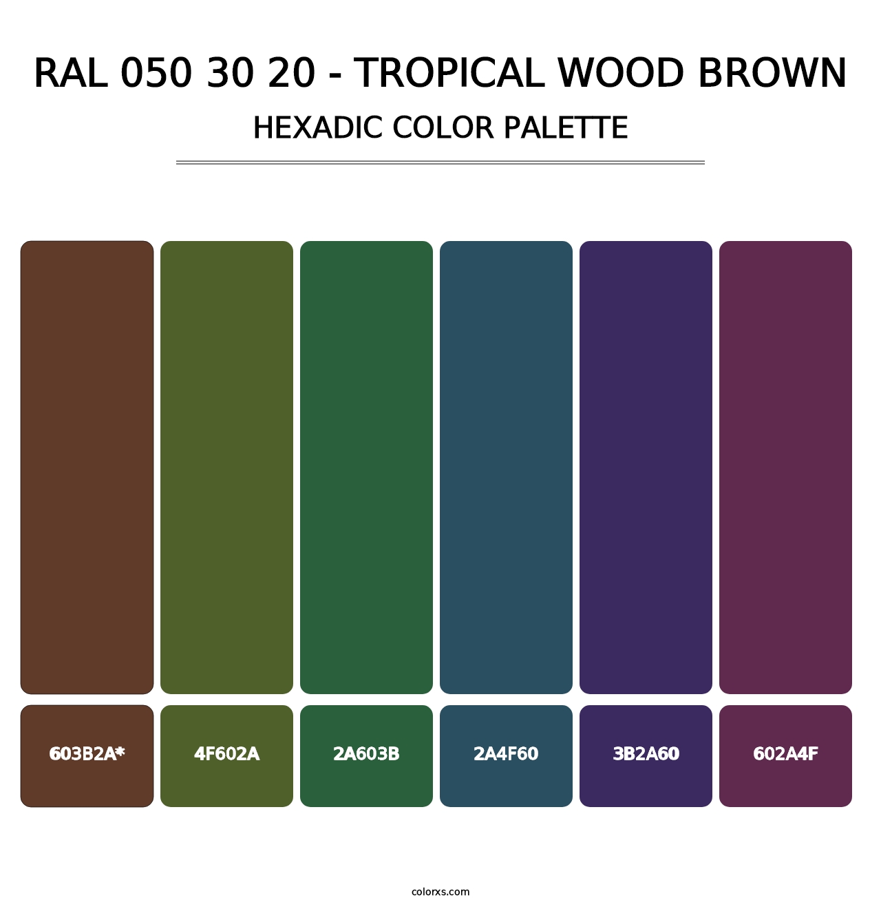 RAL 050 30 20 - Tropical Wood Brown - Hexadic Color Palette