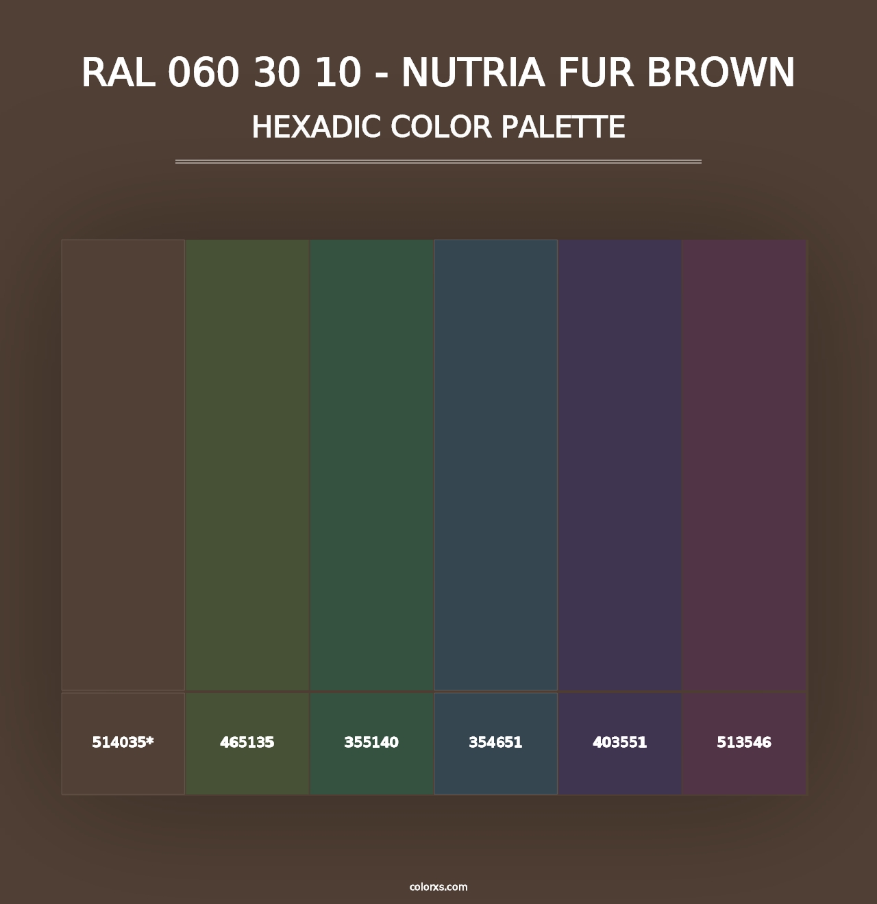 RAL 060 30 10 - Nutria Fur Brown - Hexadic Color Palette