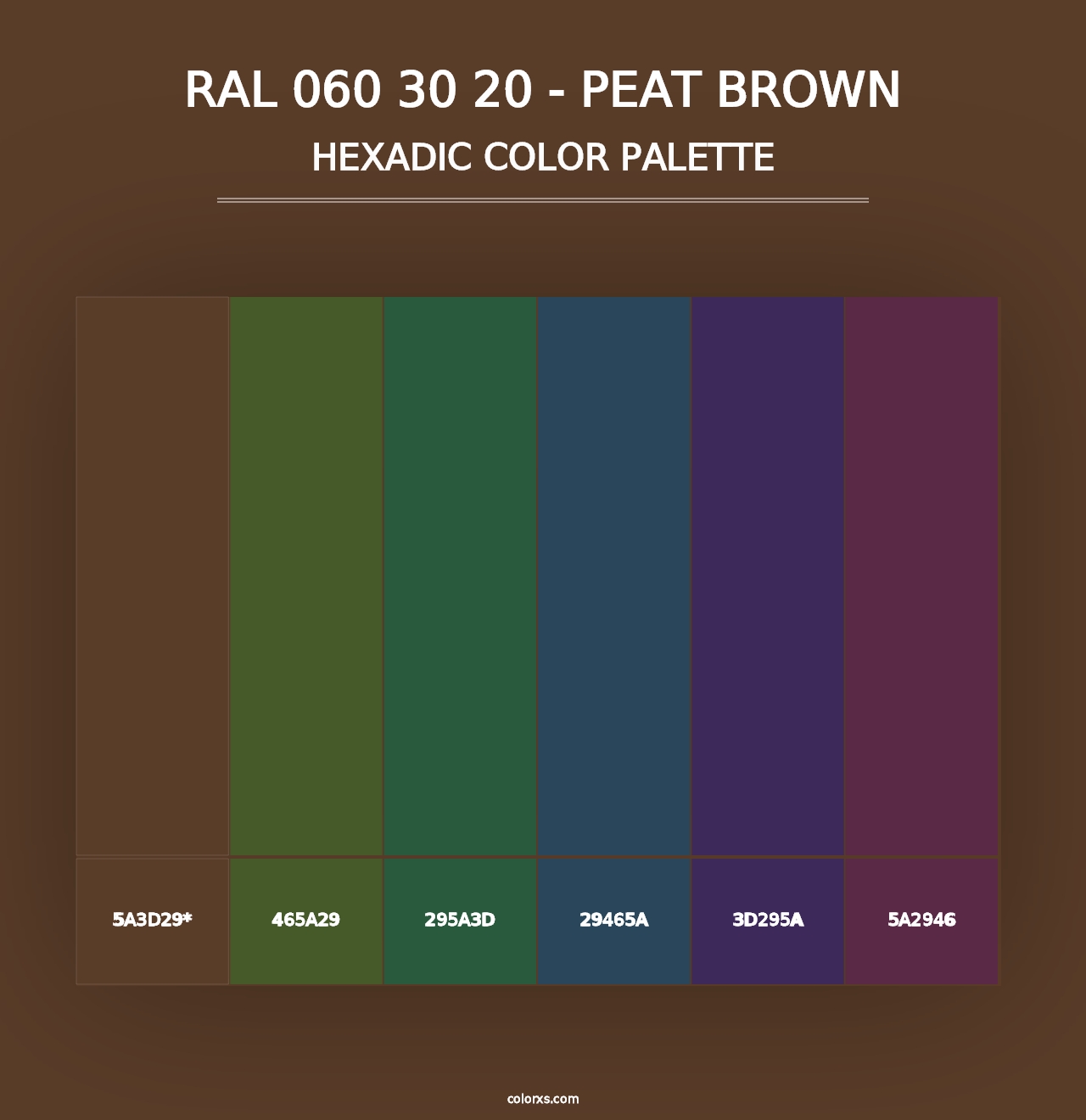 RAL 060 30 20 - Peat Brown - Hexadic Color Palette