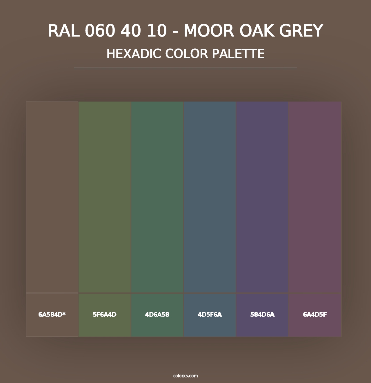 RAL 060 40 10 - Moor Oak Grey - Hexadic Color Palette