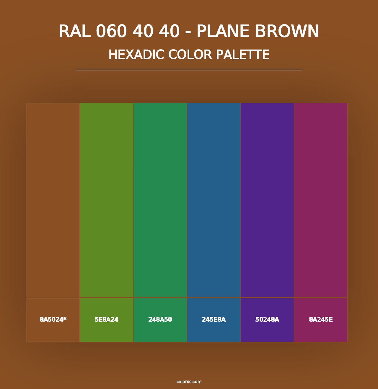 RAL 060 40 40 - Plane Brown - Hexadic Color Palette