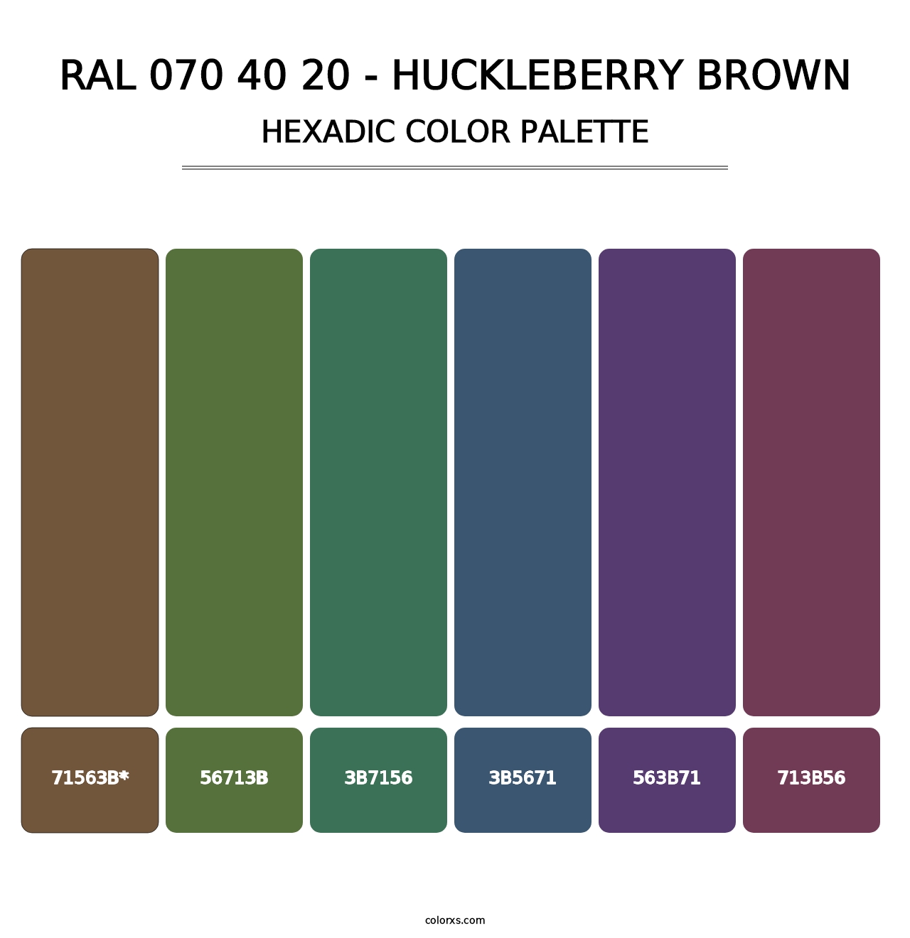 RAL 070 40 20 - Huckleberry Brown - Hexadic Color Palette