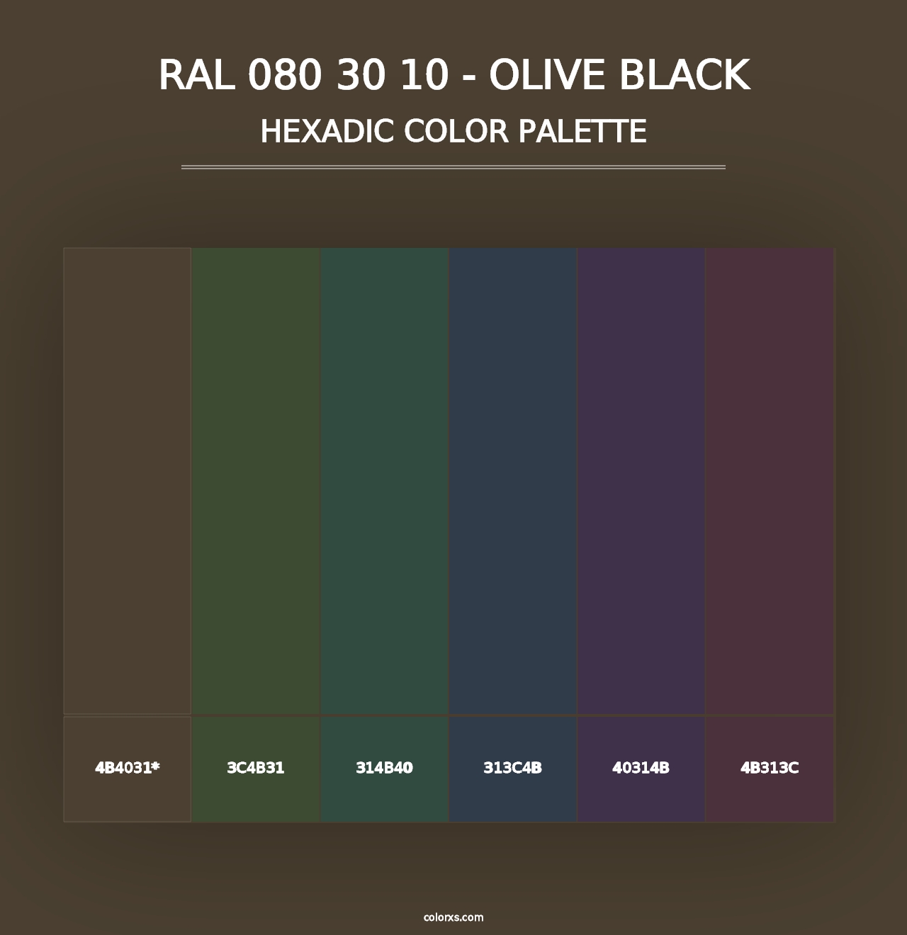 RAL 080 30 10 - Olive Black - Hexadic Color Palette