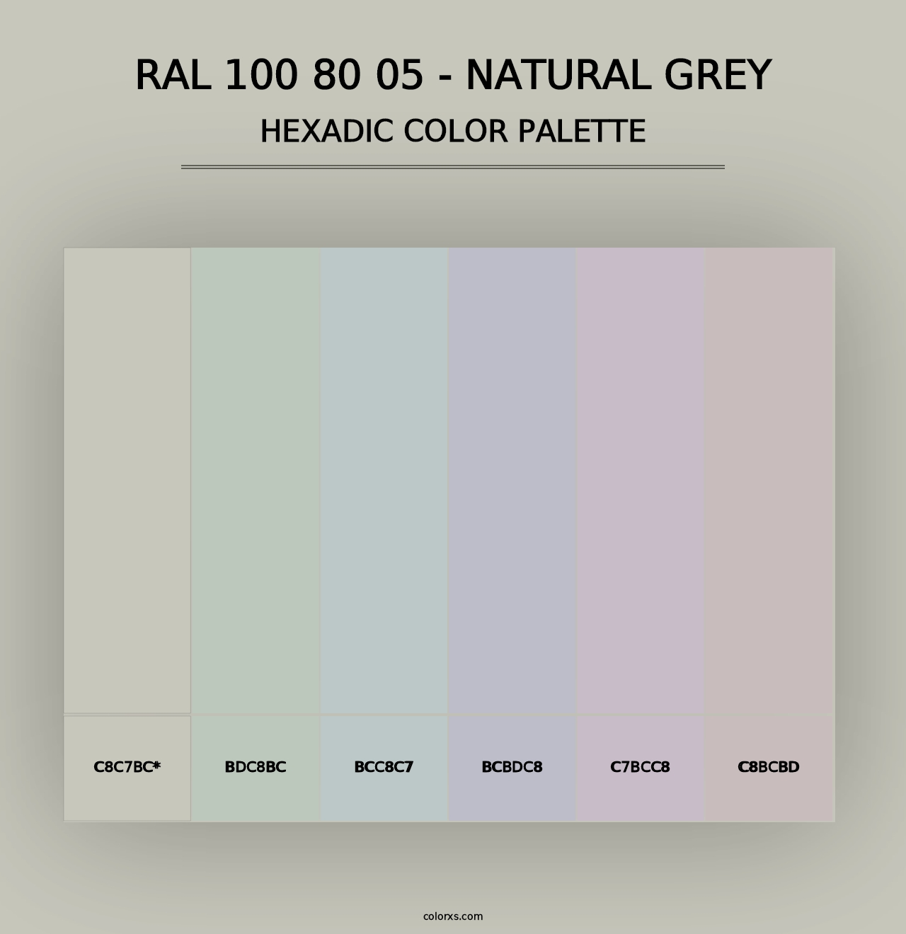 RAL 100 80 05 - Natural Grey - Hexadic Color Palette