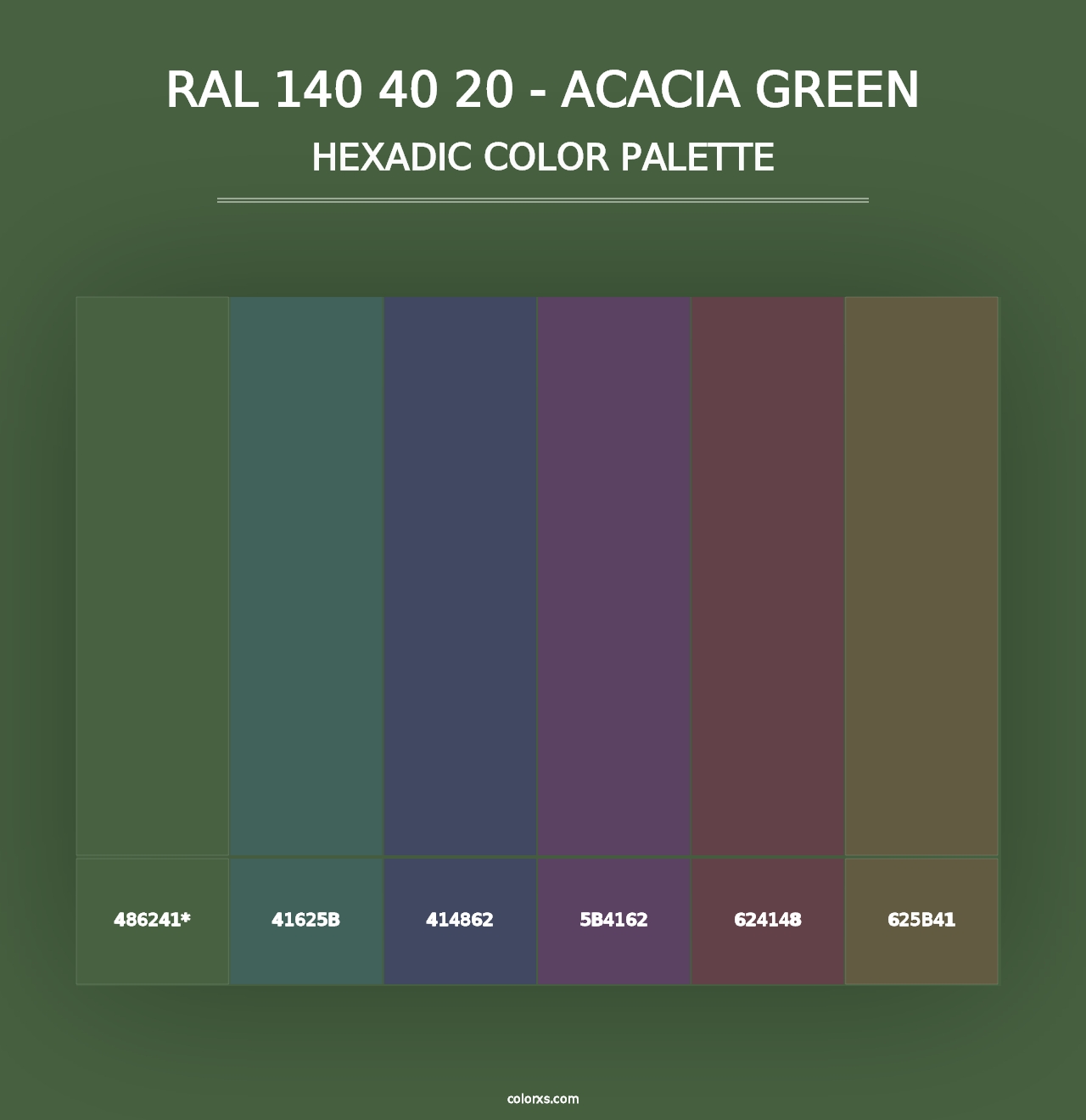 RAL 140 40 20 - Acacia Green - Hexadic Color Palette